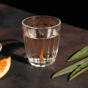 Traditional artisanal mezcal in glass with fresh agave plant on rustic table