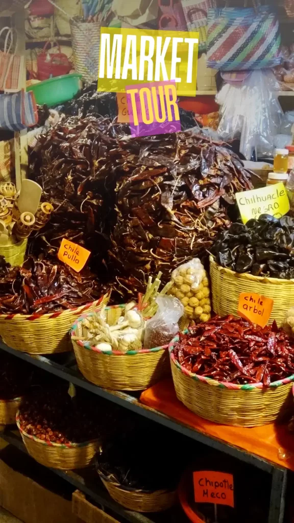 Diverse group of tourists on authentic Oaxaca walking tour with local guide